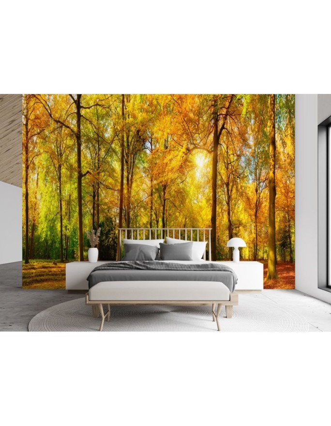 The most beautiful Wallpapers - Autumn forest | FEEBY
