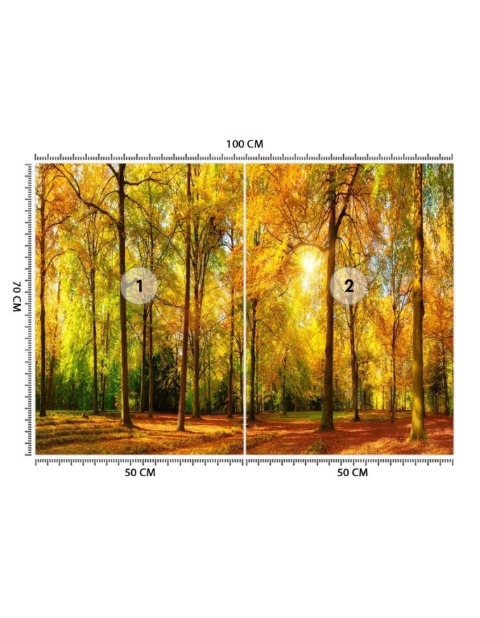 The most beautiful Wallpapers - Autumn forest | FEEBY