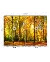 The most beautiful Wallpapers - Autumn forest | FEEBY