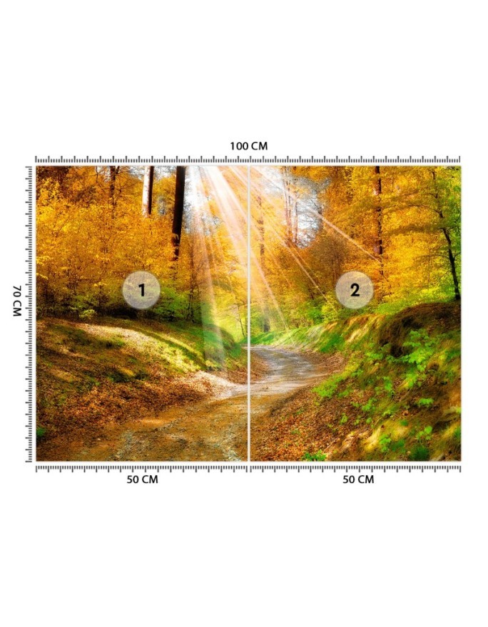 Wallpaper - Path in the forest | FEEBY
