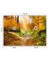 Wallpaper - Path in the forest | FEEBY
