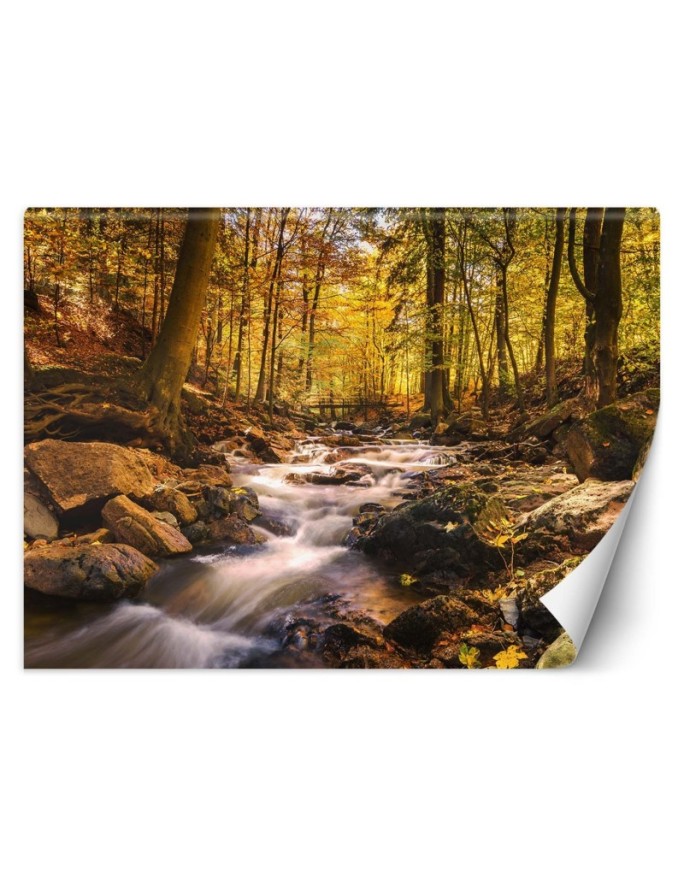 Wall mural Forest stream in...