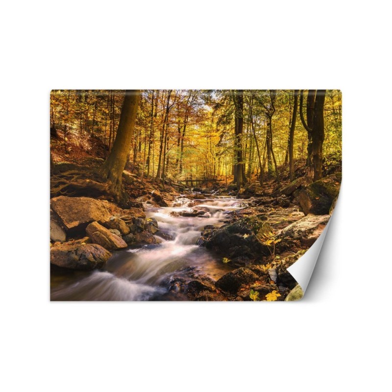 Fleece Wallpapers - Forest stream in autumn | FEEBY
