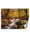 Fleece Wallpapers - Forest stream in autumn | FEEBY