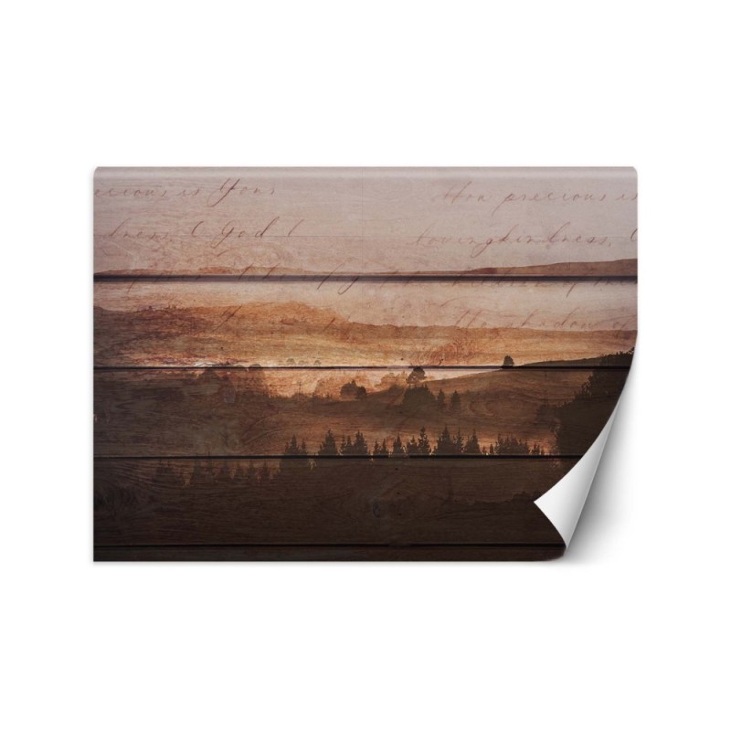 Designer Wallpapers - Vintage plank forest | FEEBY
