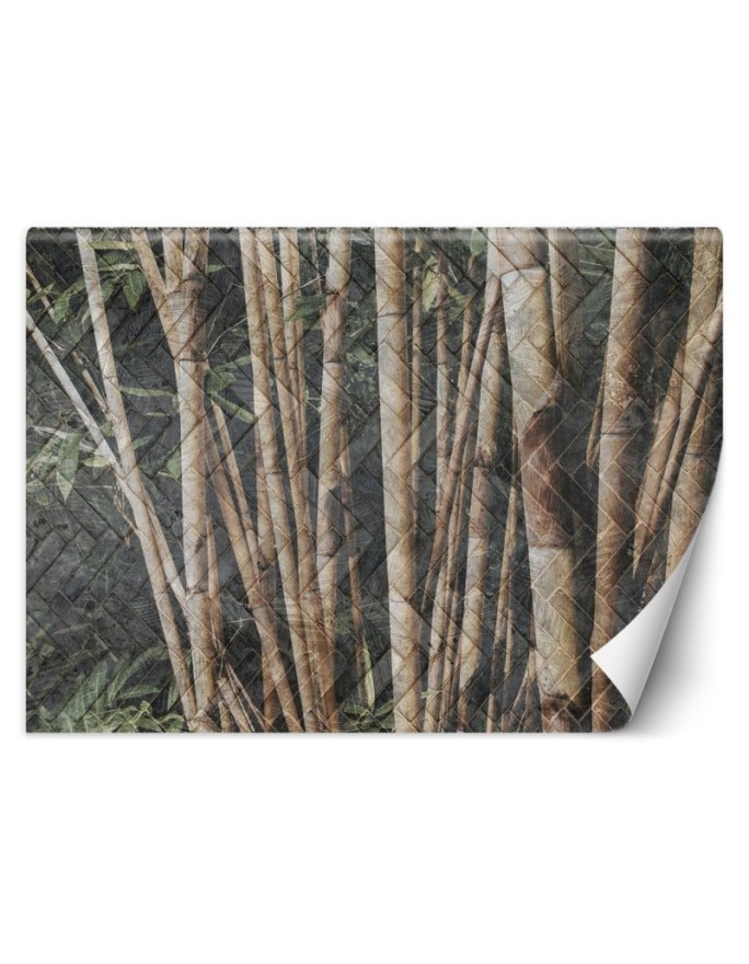 Inspirational Wallpapers - Bamboo forest | FEEBY
