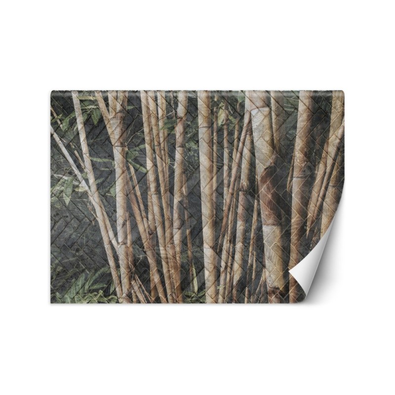 Inspirational Wallpapers - Bamboo forest | FEEBY