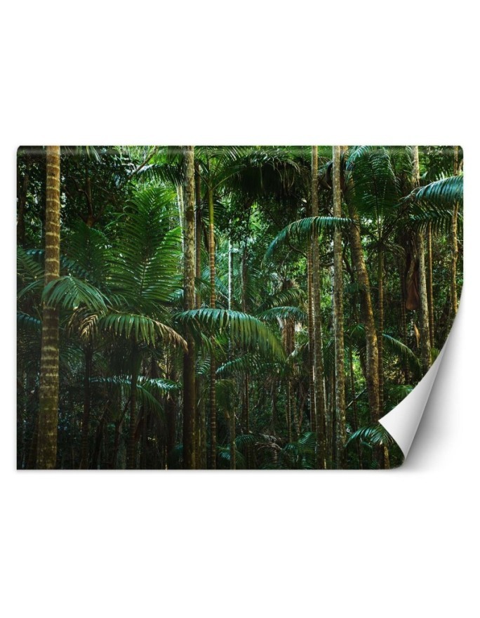 Modern Wallpaper - Tropical forest nature | FEEBY