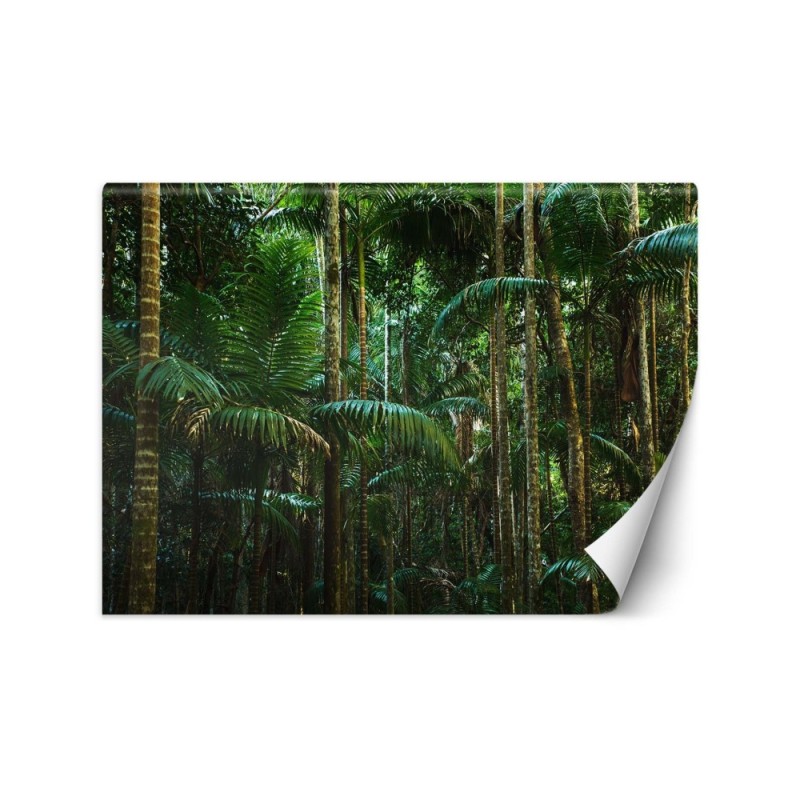 Modern Wallpaper - Tropical forest nature | FEEBY
