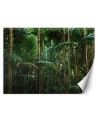 Modern Wallpaper - Tropical forest nature | FEEBY