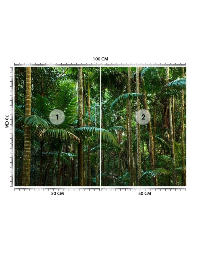 Modern Wallpaper - Tropical forest nature | FEEBY