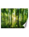 Beautiful wall mural - Sunshine in a green forest | FEEBY