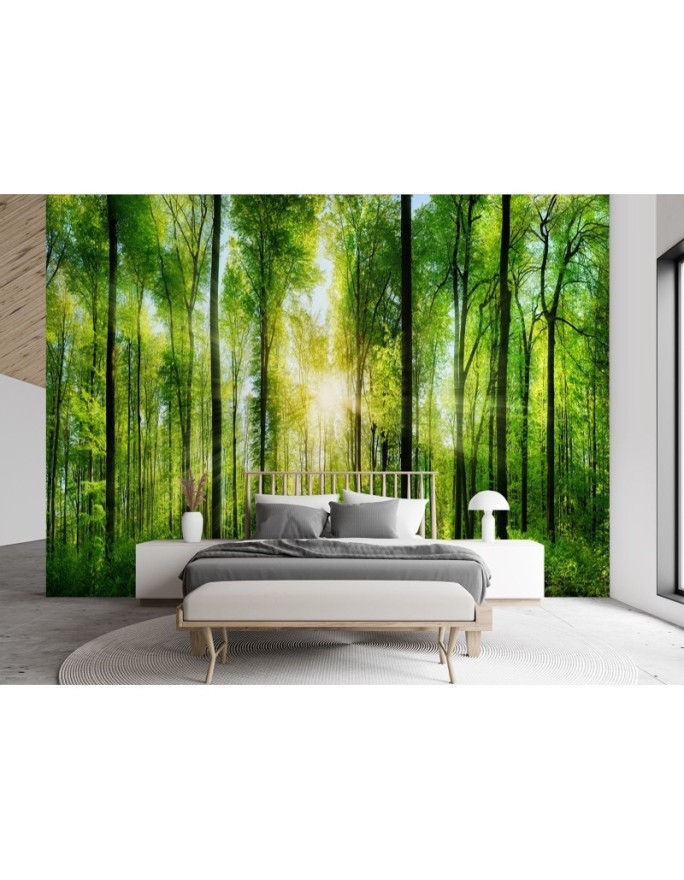 Beautiful wall mural - Sunshine in a green forest | FEEBY