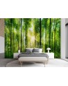 Beautiful wall mural - Sunshine in a green forest | FEEBY