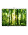 Beautiful wall mural - Sunshine in a green forest | FEEBY