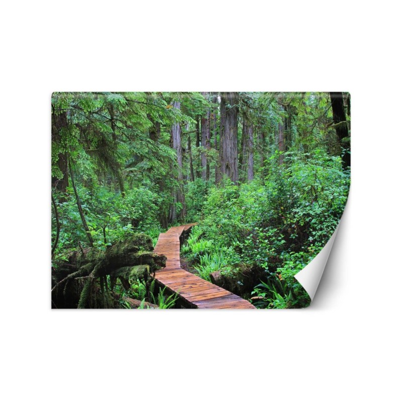 Inspirational wall mural - Footbridge in the forest | FEEBY