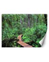 Inspirational wall mural - Footbridge in the forest | FEEBY