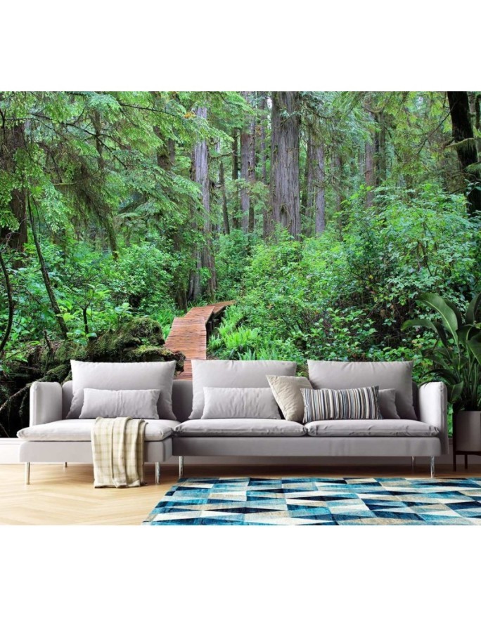 Inspirational wall mural - Footbridge in the forest | FEEBY
