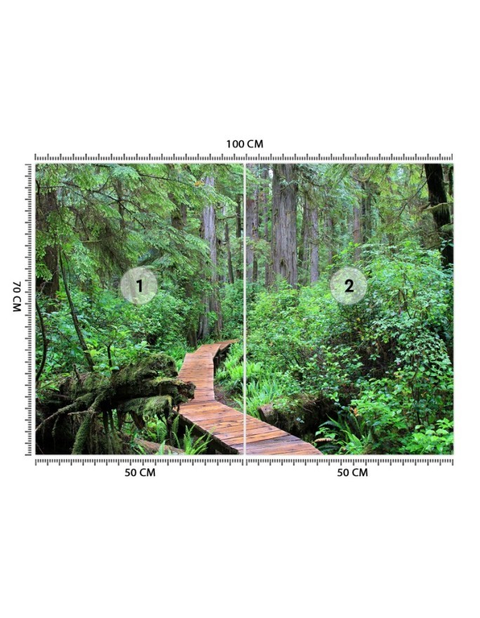 Inspirational wall mural - Footbridge in the forest | FEEBY