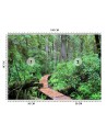 Inspirational wall mural - Footbridge in the forest | FEEBY