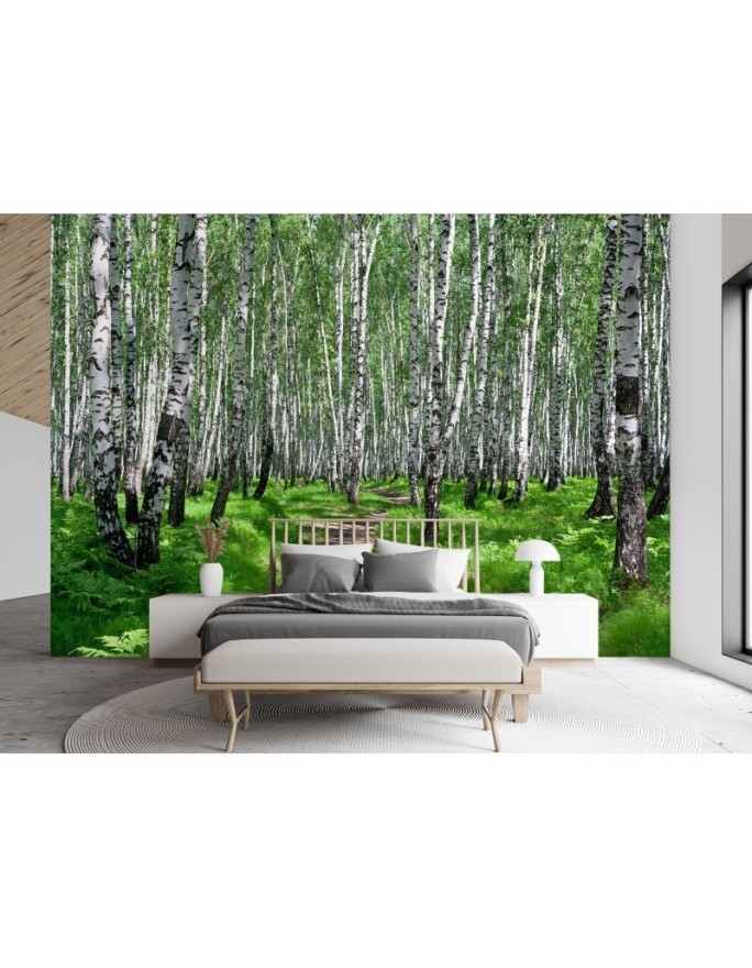 Wall mural - Birch forest | FEEBY