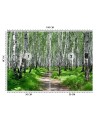 Wall mural - Birch forest | FEEBY