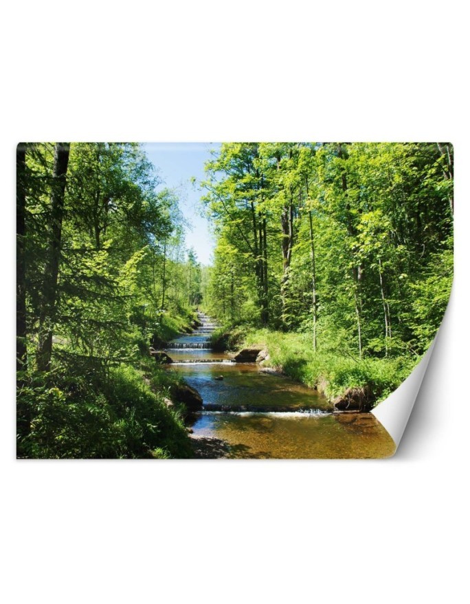 Inspirational wall mural - Mountain stream forest nature | FEEBY