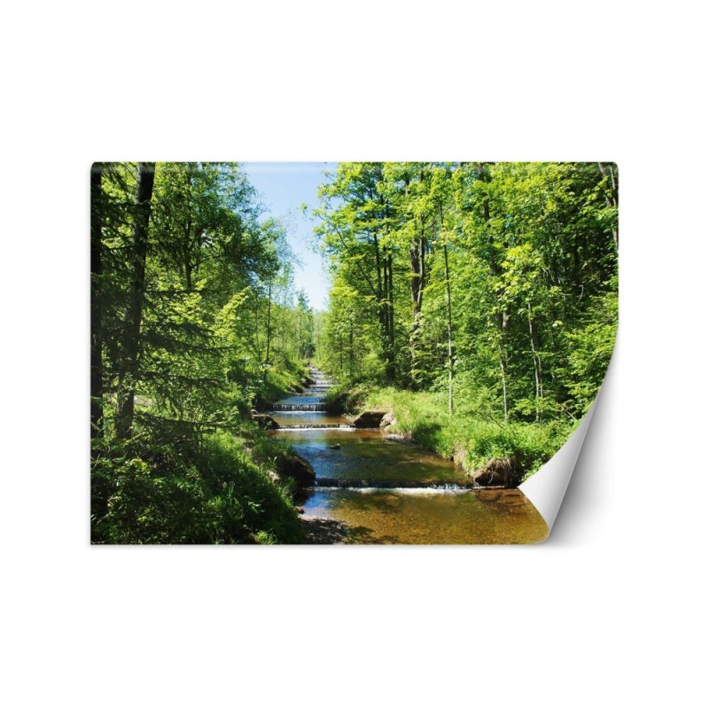 Inspirational wall mural - Mountain stream forest nature | FEEBY