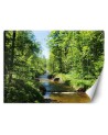 Inspirational wall mural - Mountain stream forest nature | FEEBY