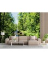 Inspirational wall mural - Mountain stream forest nature | FEEBY