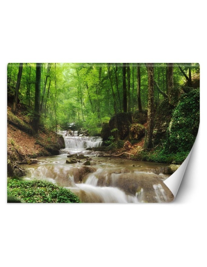 The most fashionable wall murals - Mountain stream forest nature | FEEBY