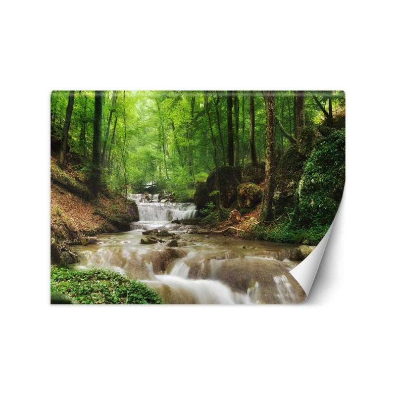 The most fashionable wall murals - Mountain stream forest nature | FEEBY