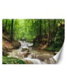 The most fashionable wall murals - Mountain stream forest nature | FEEBY