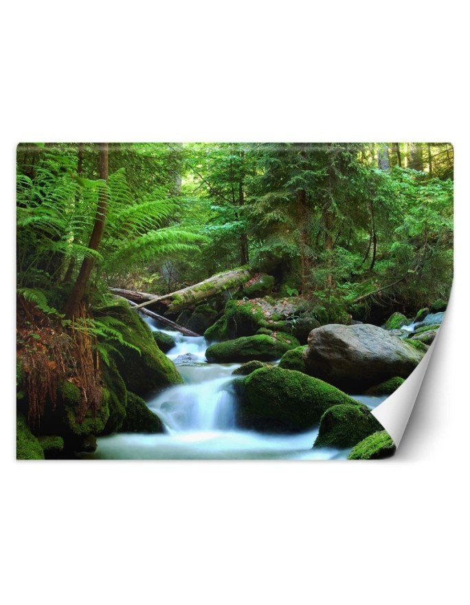 Original wall murals - Mountain stream forest nature | FEEBY