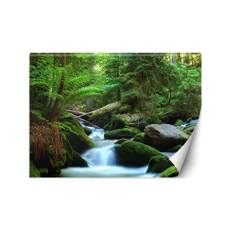 Original wall murals - Mountain stream forest nature | FEEBY
