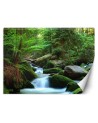 Original wall murals - Mountain stream forest nature | FEEBY