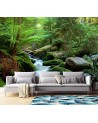 Original wall murals - Mountain stream forest nature | FEEBY