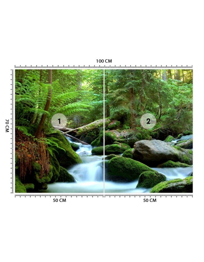 Original wall murals - Mountain stream forest nature | FEEBY