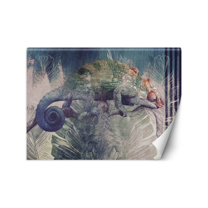Exclusive wall murals - Chameleon on a branch in the jungle | FEEBY