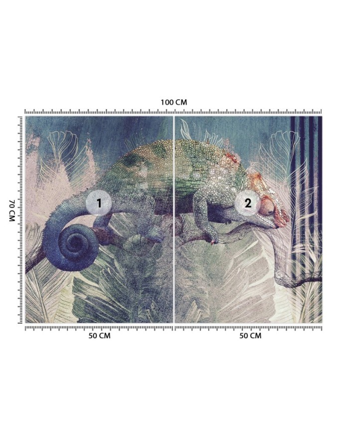 Exclusive wall murals - Chameleon on a branch in the jungle | FEEBY