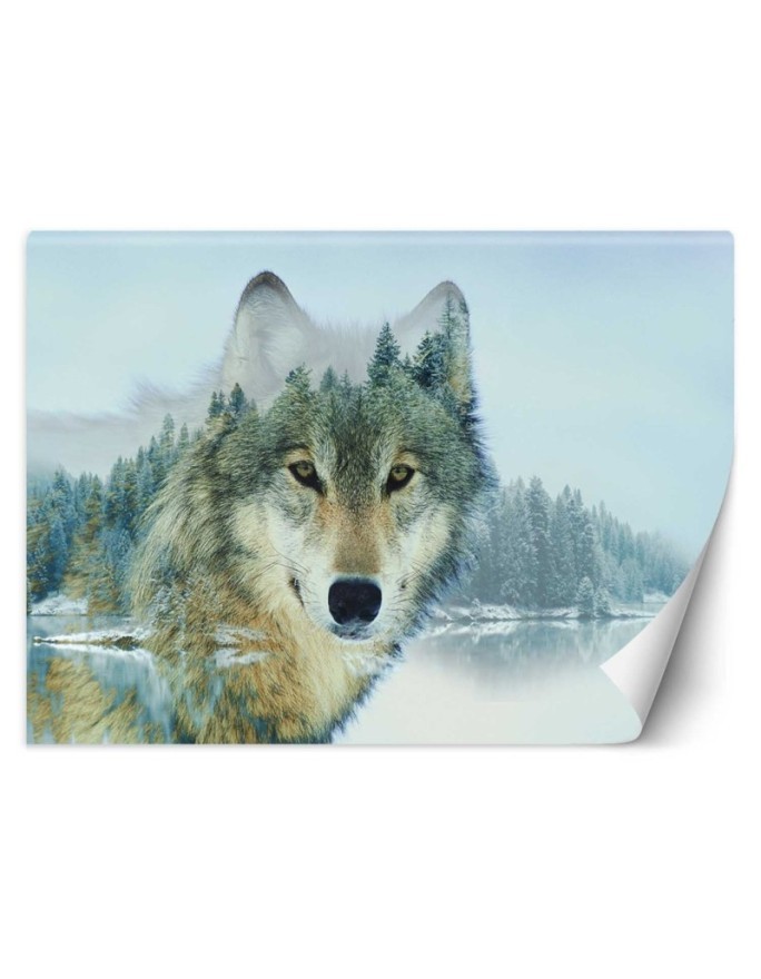 Unique wall murals - Wolf lake | FEEBY