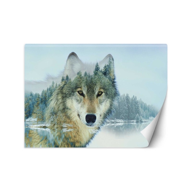 Unique wall murals - Wolf lake | FEEBY