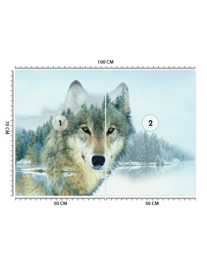 Unique wall murals - Wolf lake | FEEBY