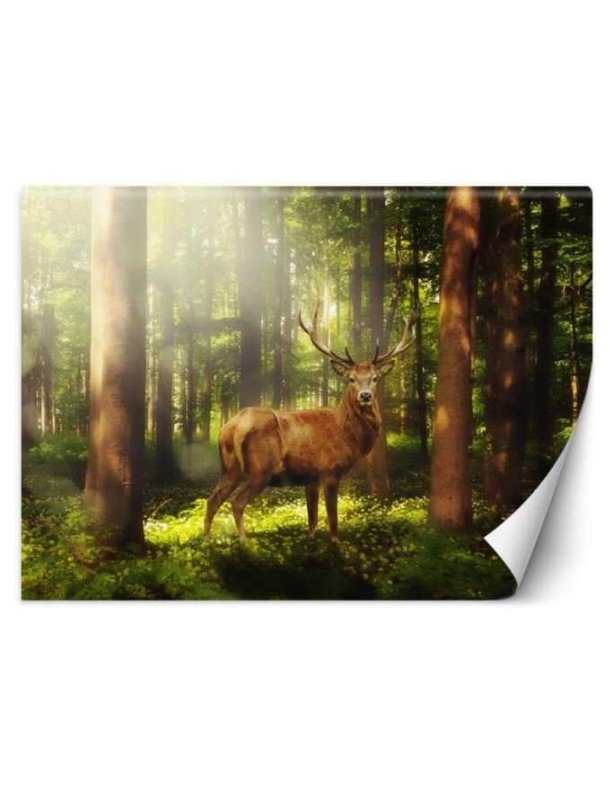Original wall mural - Deer in the forest | FEEBY