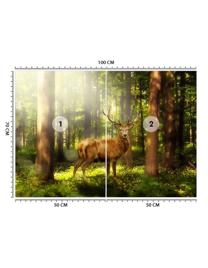 Original wall mural - Deer in the forest | FEEBY