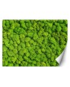 The most fashionable wall murals - Weed moss | FEEBY