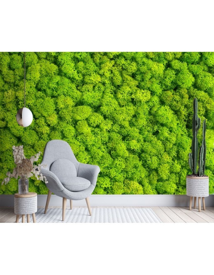 The most fashionable wall murals - Weed moss | FEEBY
