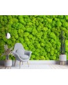 The most fashionable wall murals - Weed moss | FEEBY