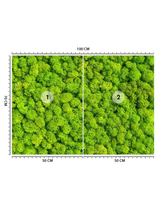 The most fashionable wall murals - Weed moss | FEEBY