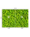 The most fashionable wall murals - Weed moss | FEEBY